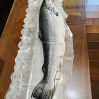 未提供相片說明。