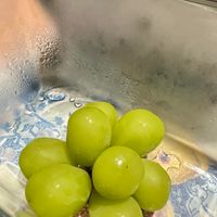 未提供相片說明。