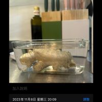 未提供相片說明。