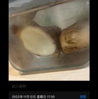 未提供相片說明。