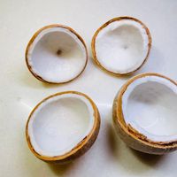 可能是椰子的圖像