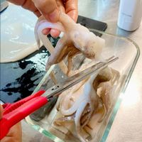 未提供相片說明。