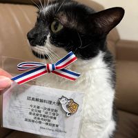 未提供相片說明。