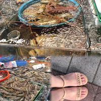 未提供相片說明。