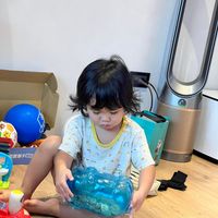 未提供相片說明。