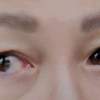未提供相片說明。