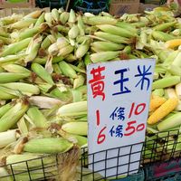 未提供相片說明。