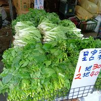 未提供相片說明。