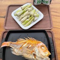 未提供相片說明。