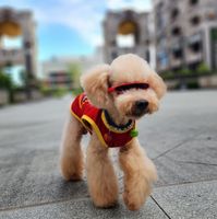 未提供相片說明。