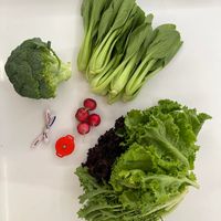 未提供相片說明。