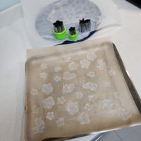 未提供相片說明。