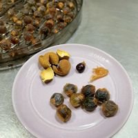 未提供相片說明。