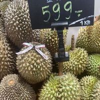 未提供相片說明。