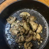 未提供相片說明。