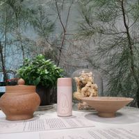 未提供相片說明。