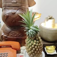 未提供相片說明。