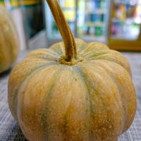可能是食物的圖像