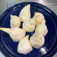 未提供相片說明。