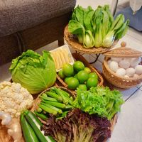 未提供相片說明。