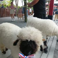 未提供相片說明。
