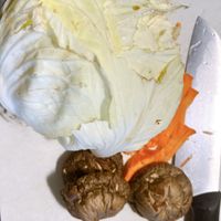 未提供相片說明。