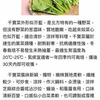 未提供相片說明。