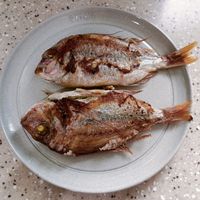 未提供相片說明。