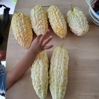 未提供相片說明。