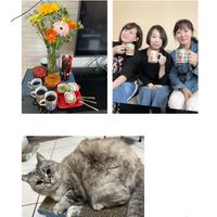 未提供相片說明。