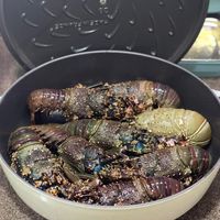 未提供相片說明。