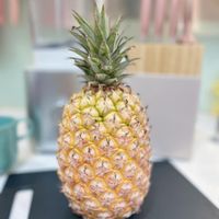 未提供相片說明。