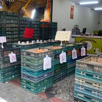 未提供相片說明。