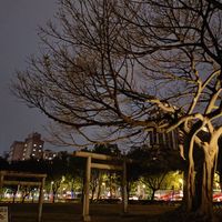 未提供相片說明。