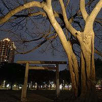 未提供相片說明。