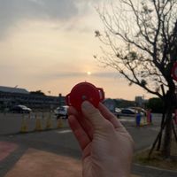 未提供相片說明。