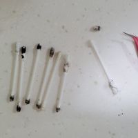 未提供相片說明。