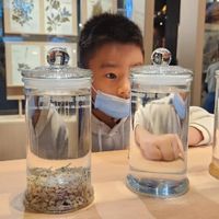 未提供相片說明。
