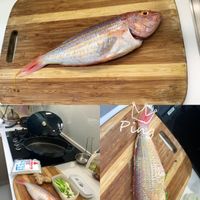 未提供相片說明。