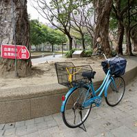 未提供相片說明。