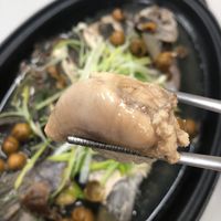 未提供相片說明。