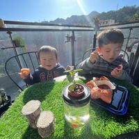 未提供相片說明。
