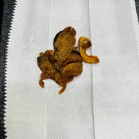 未提供相片說明。