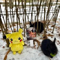 未提供相片說明。