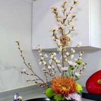 未提供相片說明。