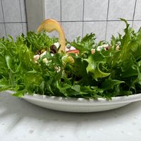未提供相片說明。
