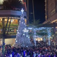 可能是 1 人、聖誕樹和戶外的圖像