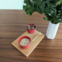 可能是室內的圖像