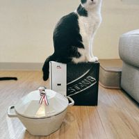 未提供相片說明。