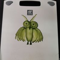 未提供相片說明。